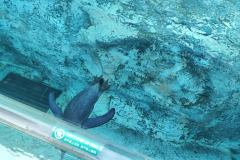 IMG_20240622_100535_BURST1