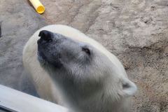 IMG_20240622_102436_1