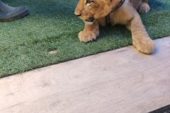 IMG_20240720_110235_BURST1