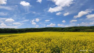 Thumbnail of post image 086