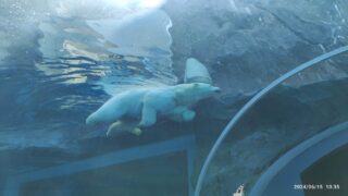 Thumbnail of post image 041