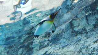 Thumbnail of post image 005