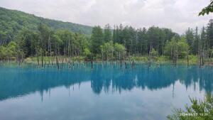 Thumbnail of post image 147