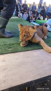 Thumbnail of post image 075