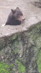 Thumbnail of post image 098