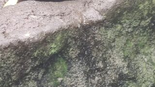 Thumbnail of post image 015