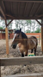 Thumbnail of post image 173