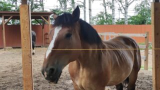 Thumbnail of post image 025