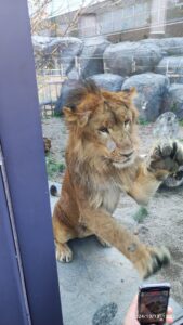 Thumbnail of post image 124