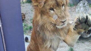 Thumbnail of post image 110